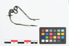 Foto von Bronzeschlangenfibel (NHMW-PRAE-025942)